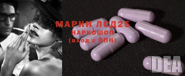 тгк Горнозаводск
