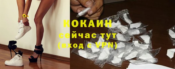 дживик Горняк
