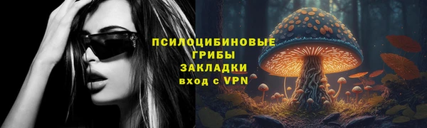 тгк Горнозаводск