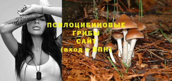 прущая мука Горно-Алтайск