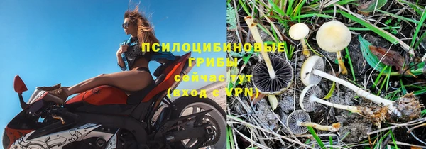 прущая мука Горно-Алтайск