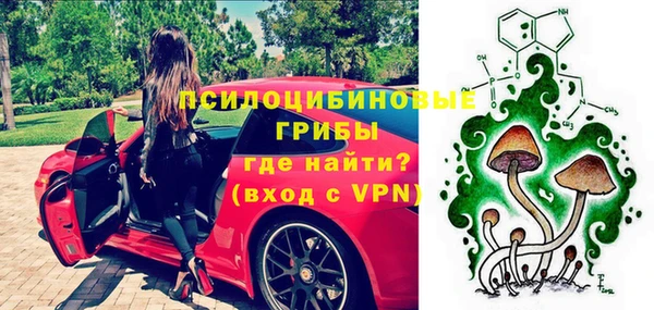 тгк Горнозаводск
