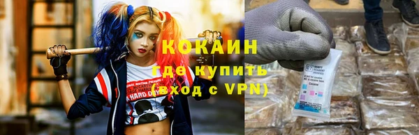 дживик Горняк